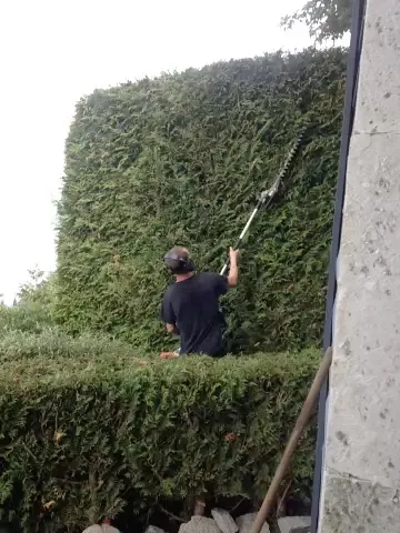 Lions Gate Landscaping project