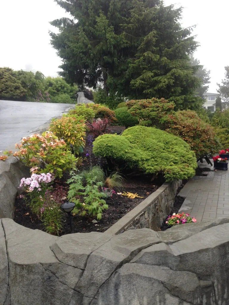Lions Gate Landscaping project
