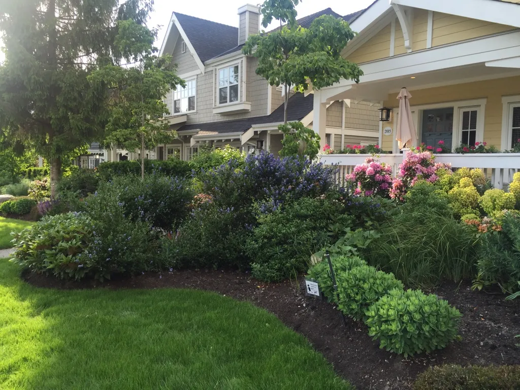 Lions Gate Landscaping project
