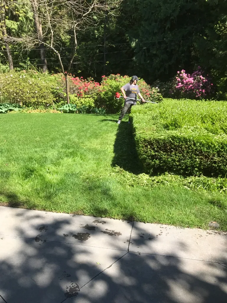 Lions Gate Landscaping project