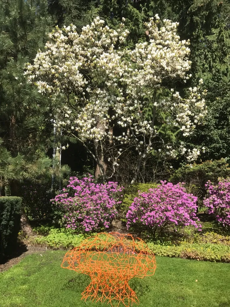 Lions Gate Landscaping project