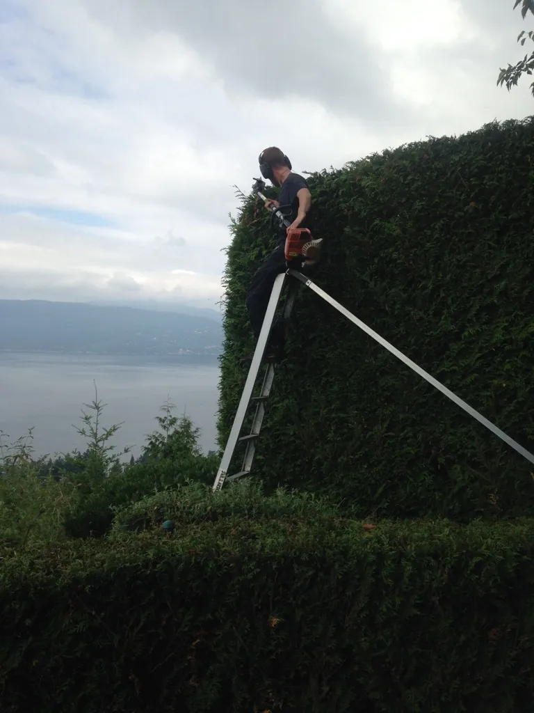 Lions Gate Landscaping project