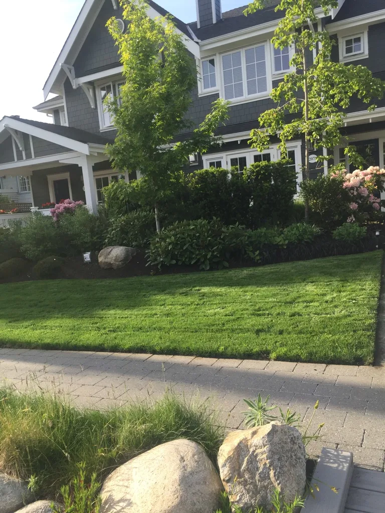 Lions Gate Landscaping project