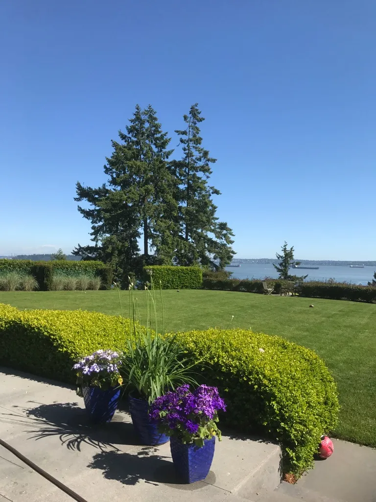 Lions Gate Landscaping project