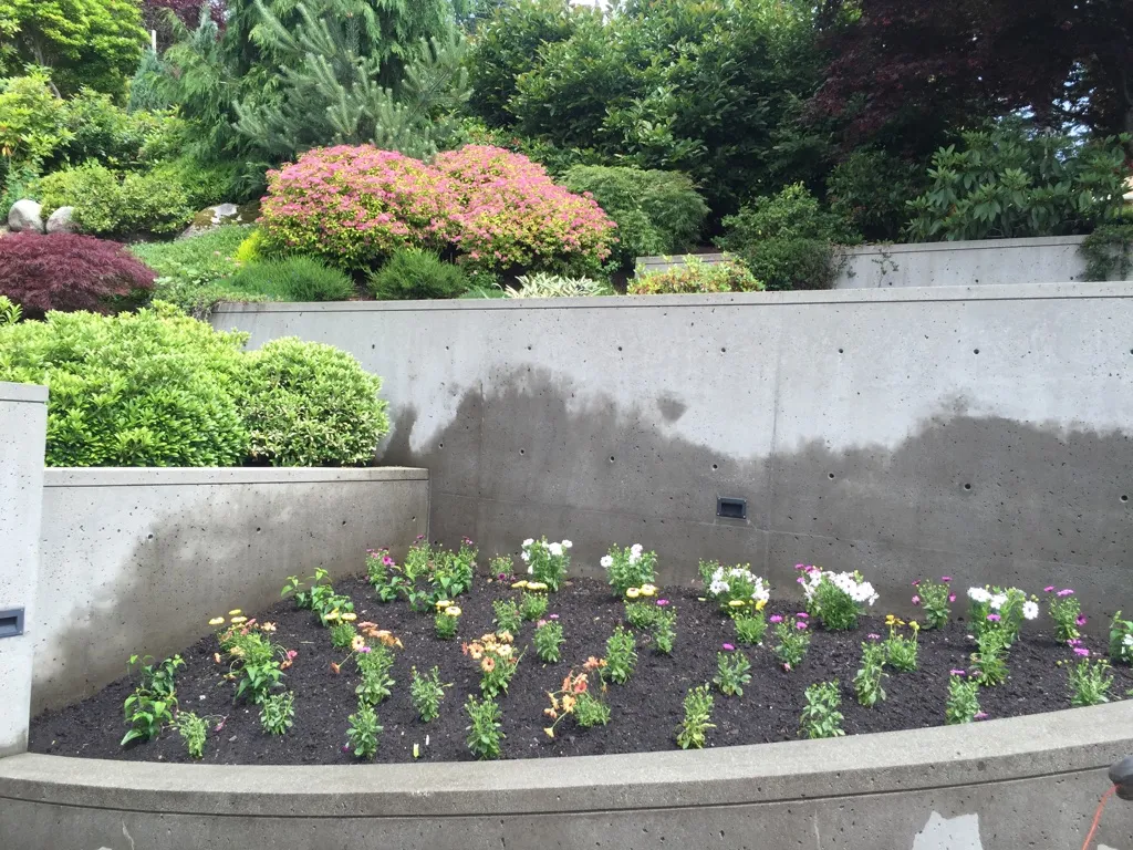 Lions Gate Landscaping project