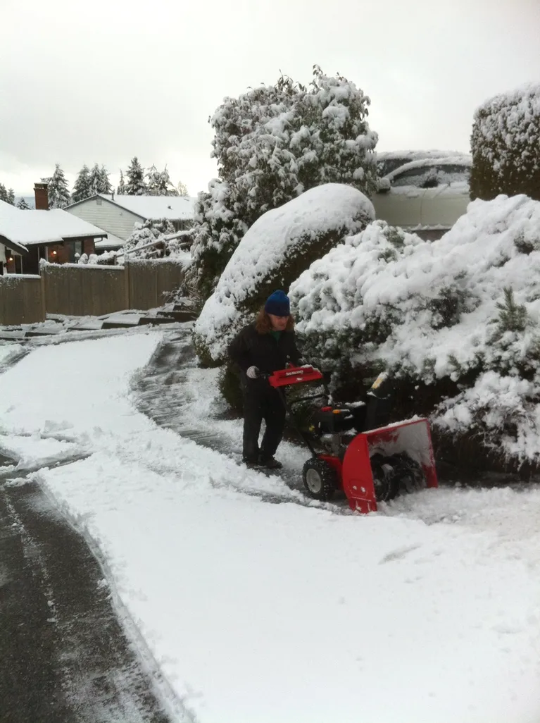 Lions Gate Landscaping project