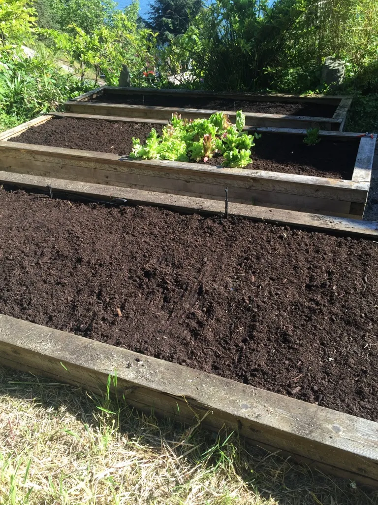 Lions Gate Landscaping project