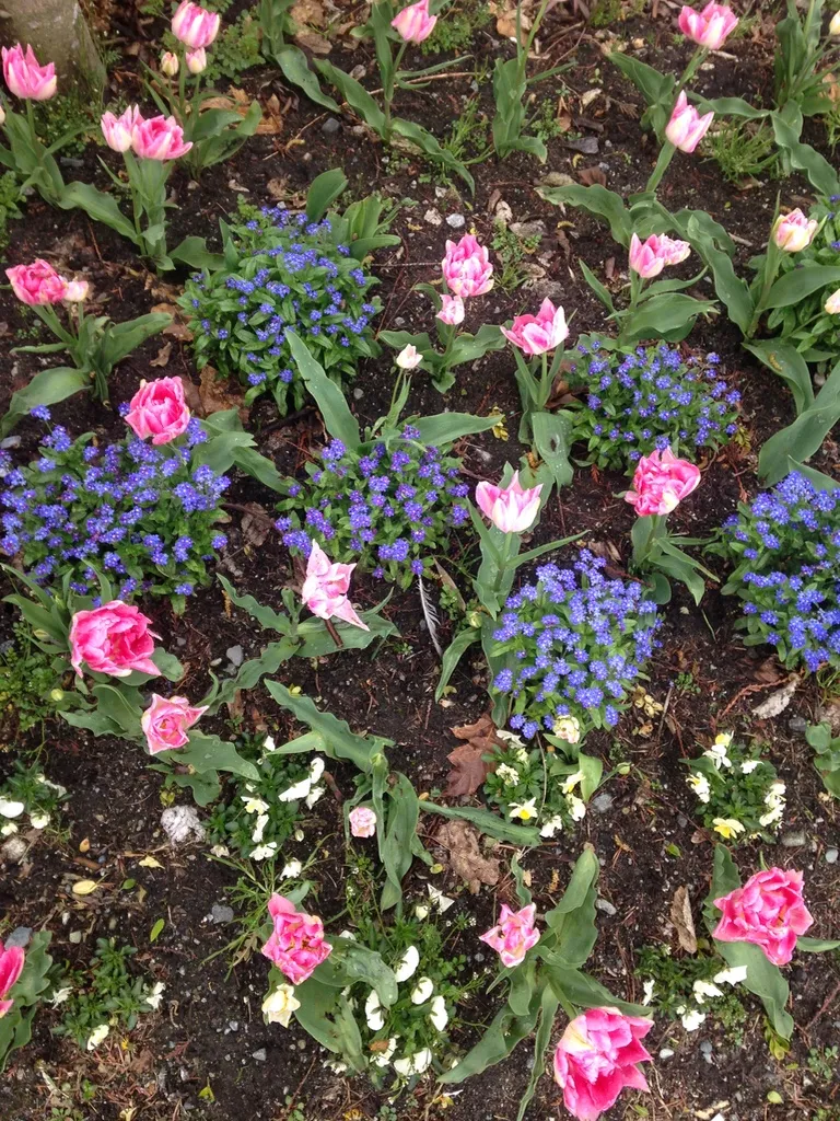 Lions Gate Landscaping project