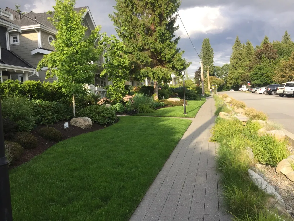 Lions Gate Landscaping project