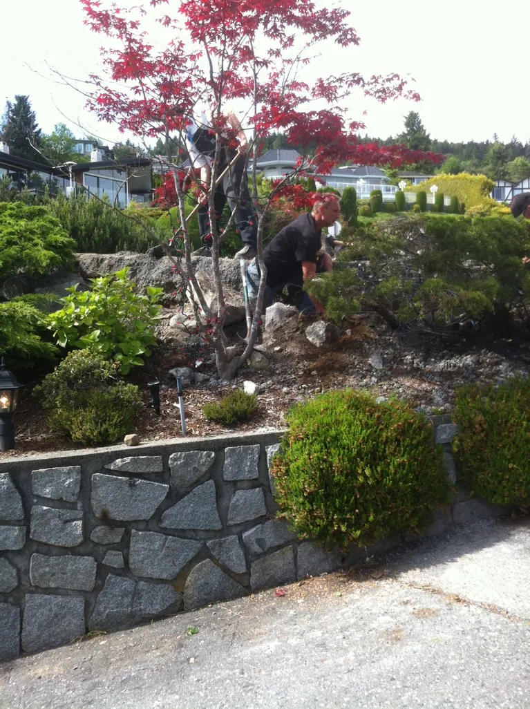 Lions Gate Landscaping project
