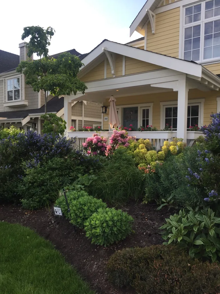 Lions Gate Landscaping — beautiful front garden planting