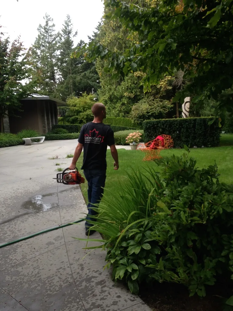 Lions Gate Landscaping project