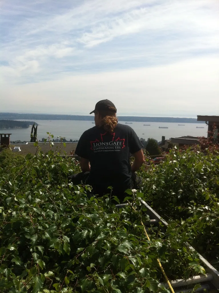 Lions Gate Landscaping project