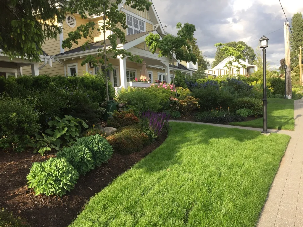 Lions Gate Landscaping project