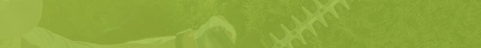 Lions Gate Landscaping project