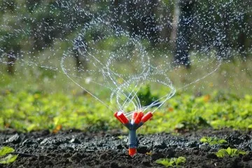 Lions Gate Landscaping project