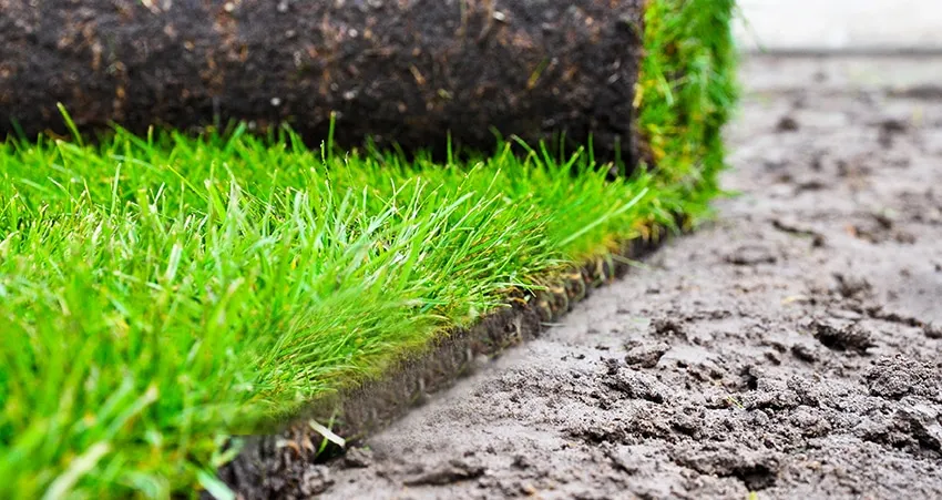 Lions Gate Landscaping project