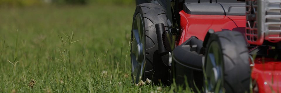 We provide landscaping
services since 2005