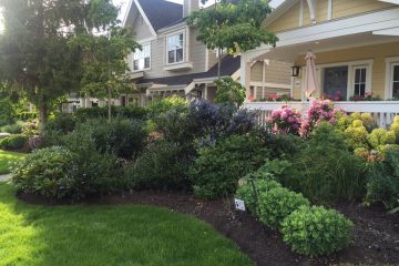 Planting & Removal